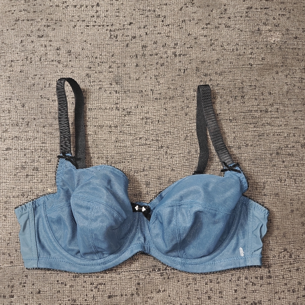 Panache Women's Elegant Blue Underwire Bra Size 3g